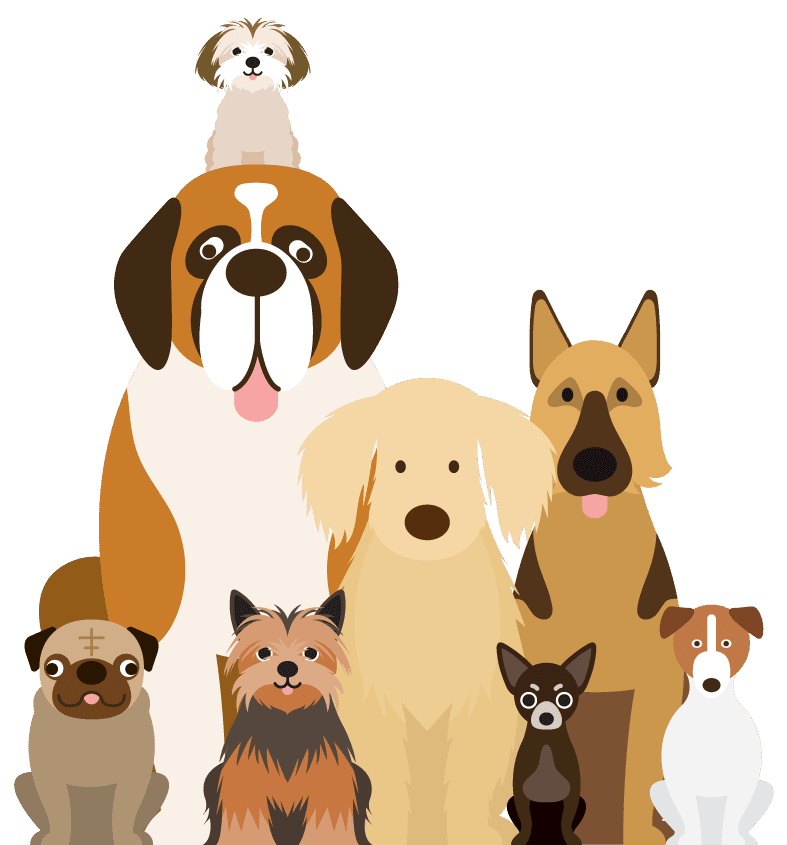 Dog Walker Banstead mobile sized dogs